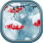 Красивые Зимние Живые Обои