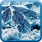 Зимние Живые Обои