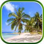 Тропический Рай Живые Обои