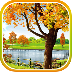 Осенний Пруд Живые обои