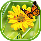 Цветы 3D Параллакс Живые Обои