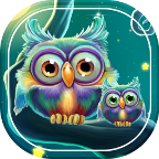 Симпатичные Совы Живые Обои